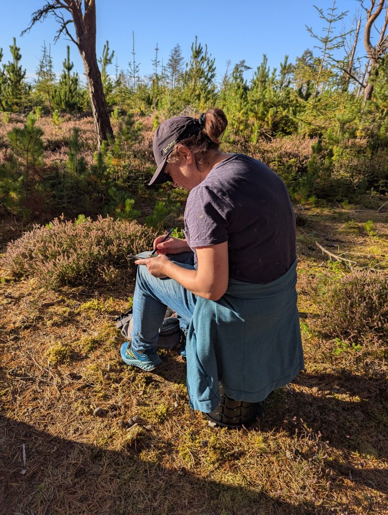 PXL_20250928_152646660